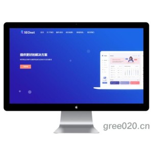 SEO优化网络公司网站模板