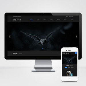 黑色酷炫数码摄影网站源码下载