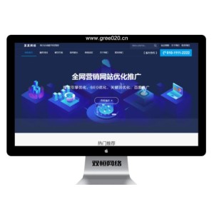 某某网络公司营销型官网