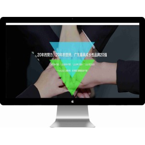 工商注册代理财务管理网站模板